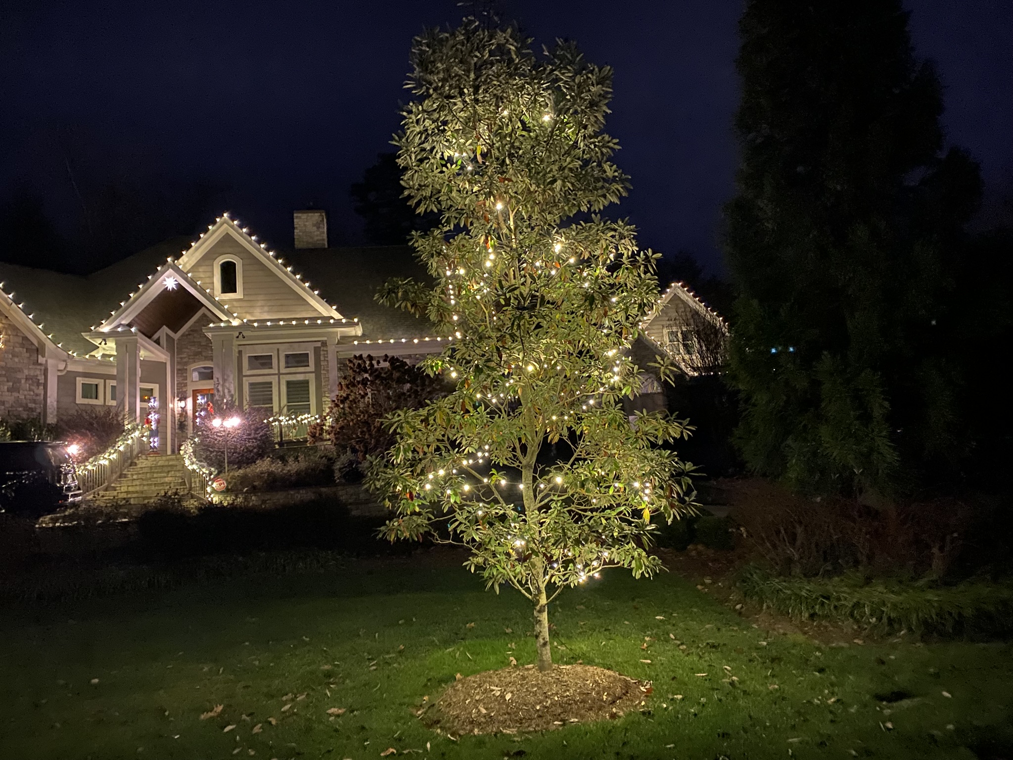 Christmas lights Maiden NC exterior LED display